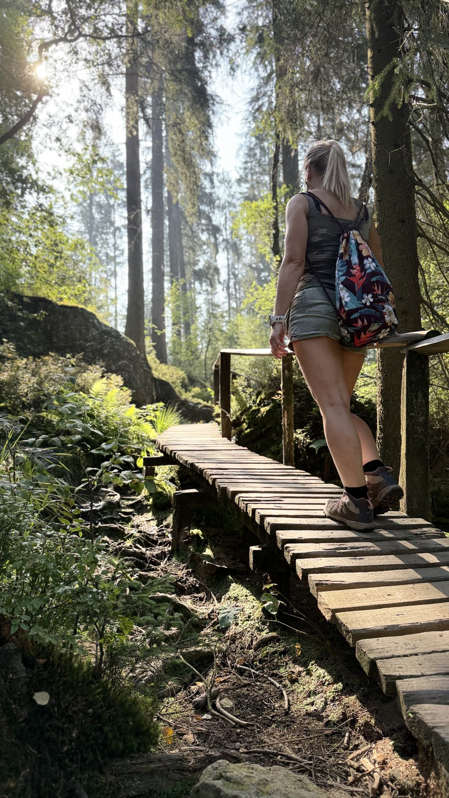 Wandelsprookje aan de Hoëgne en Statte: 15.5km door Ardennen